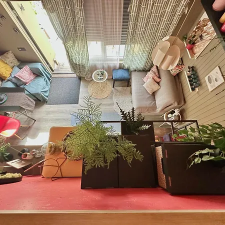 Amazing Little House On An Island With Garden Vakantiehuis